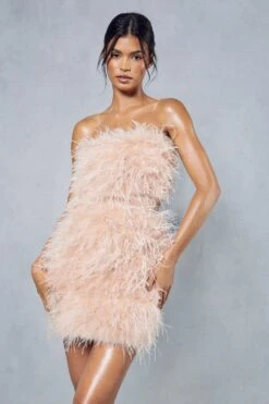 Feather Mesh Insert Bandeau Mini Dress