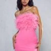 Curved Hem Feather Mini Dress